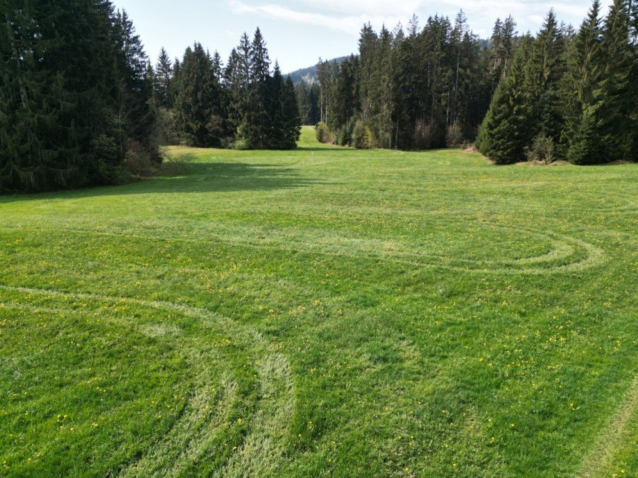  Land- / Forstwirtschaft - Grdst. Oberstaufen
