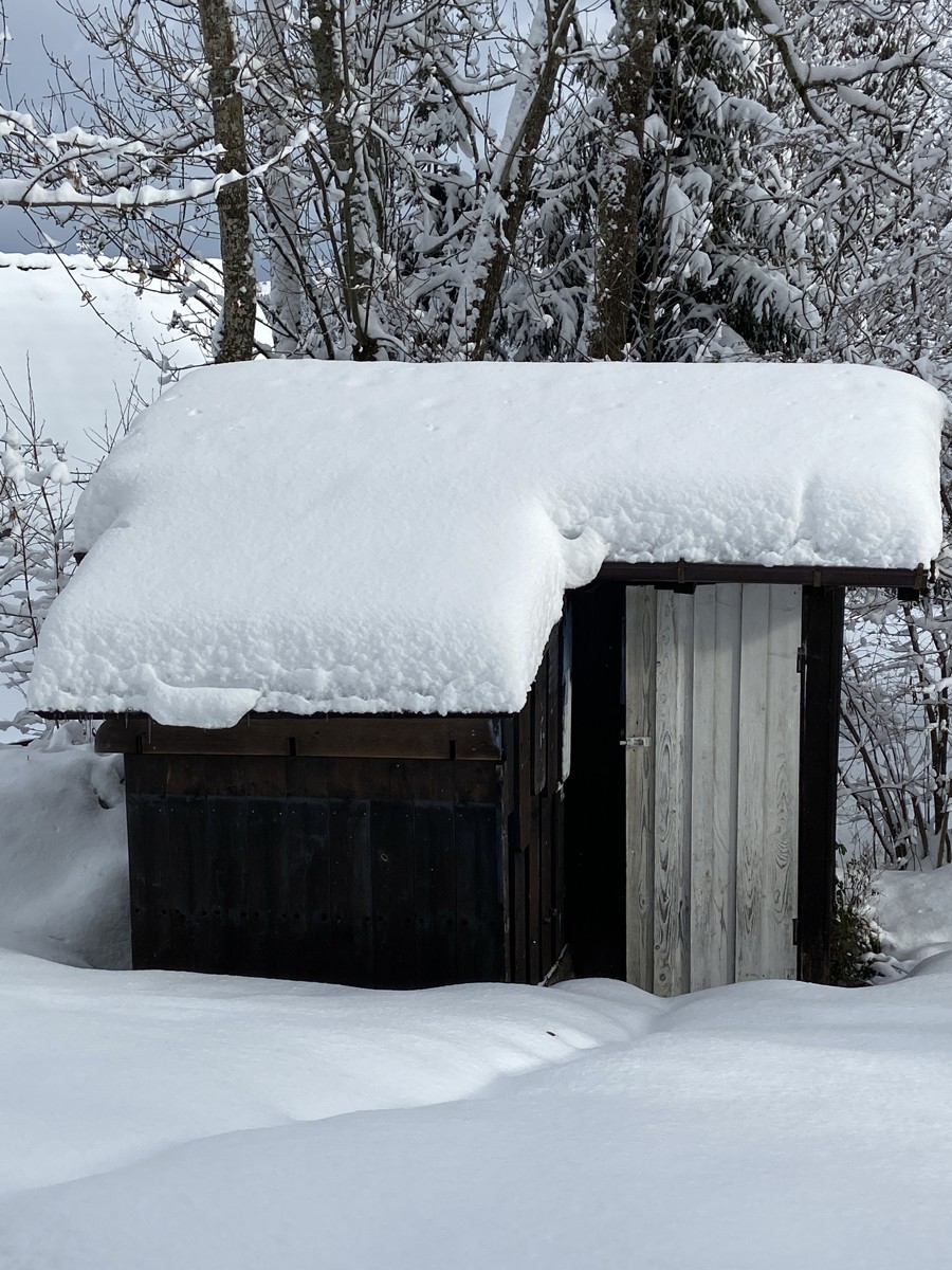 Gartenhaus Einfamilienhaus Oberreute
