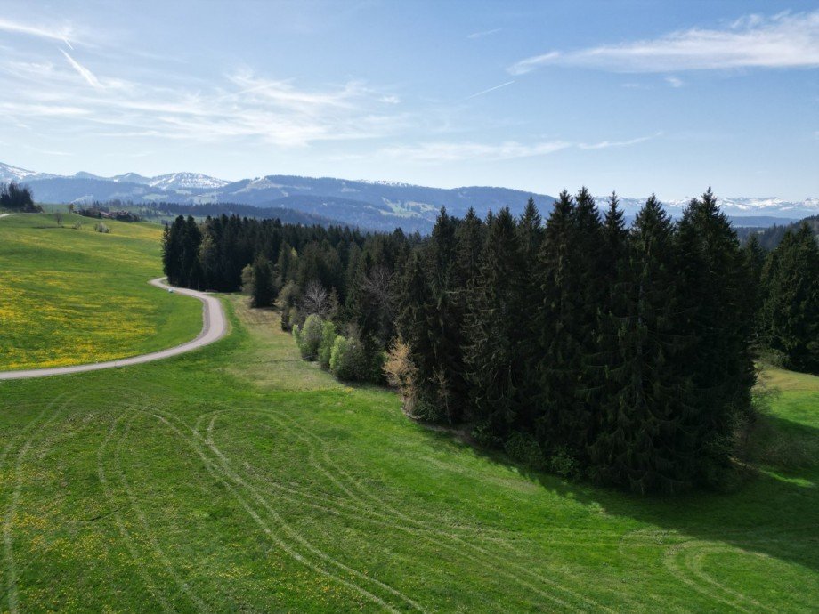  Land- / Forstwirtschaft - Grdst. Oberstaufen