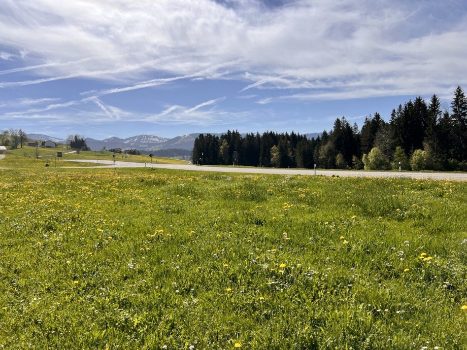  Land- / Forstwirtschaft - Grdst. Oberstaufen