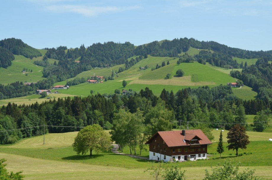 Aussicht nach Buchenegg Erdgeschosswohnung Oberstaufen / Steibis