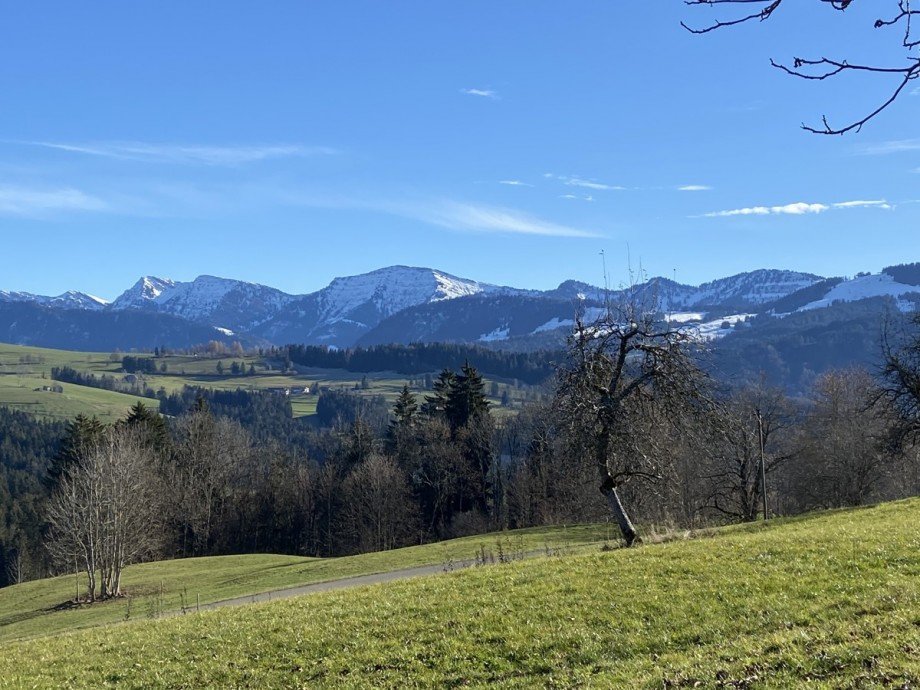 Aussicht Einfamilienhaus Oberreute