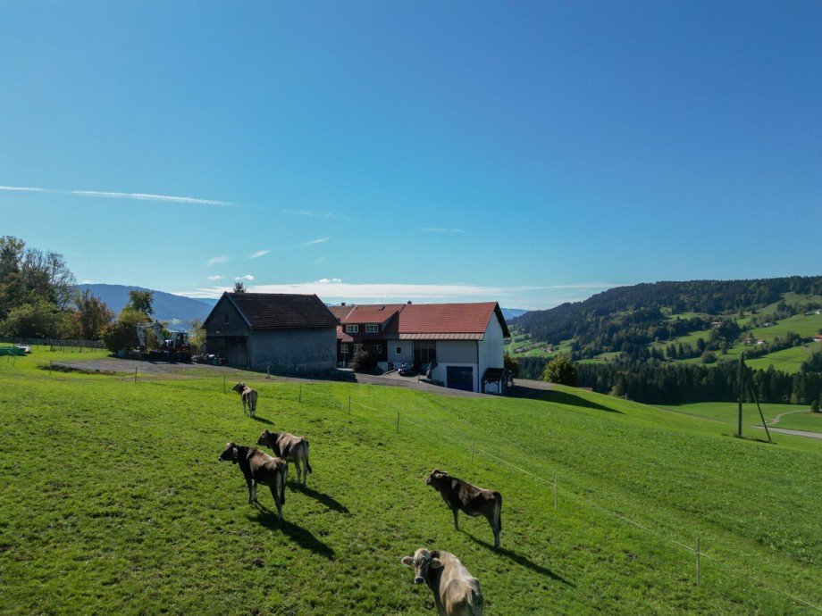 Nord-Ost Ansicht Bauernhaus Oberstaufen