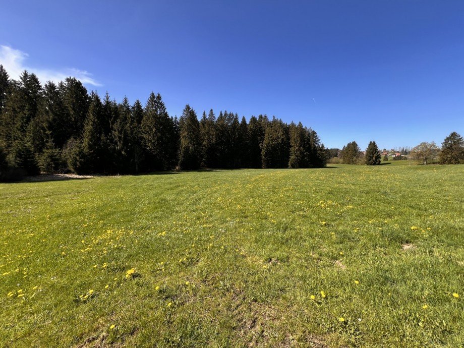  Land- / Forstwirtschaft - Grdst. Oberstaufen