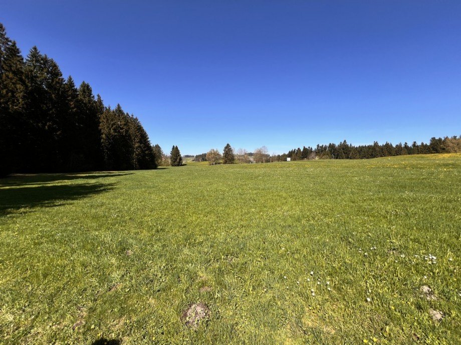  Land- / Forstwirtschaft - Grdst. Oberstaufen