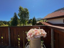Ausblick Hochgrat Hochgrat vor Augen: 
 2-Zimmer Ferienapartment mit Logenplatz
  in Steibis im Allg�u