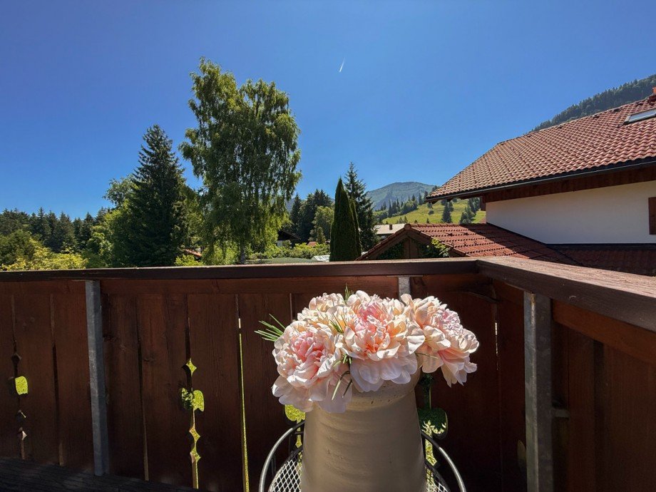 Ausblick Hochgrat Etagenwohnung Oberstaufen / Steibis