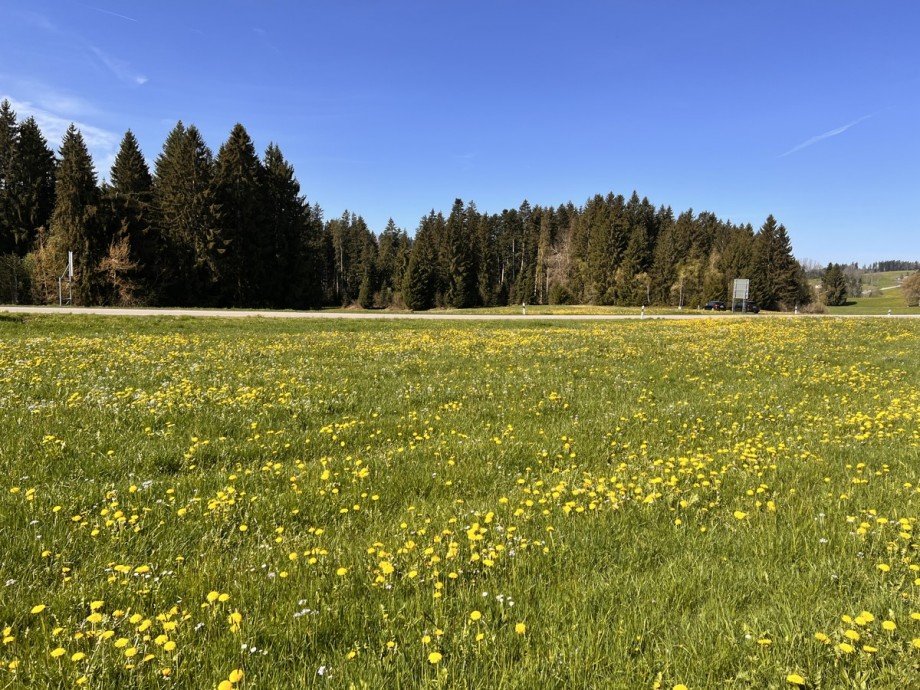  Land- / Forstwirtschaft - Grdst. Oberstaufen