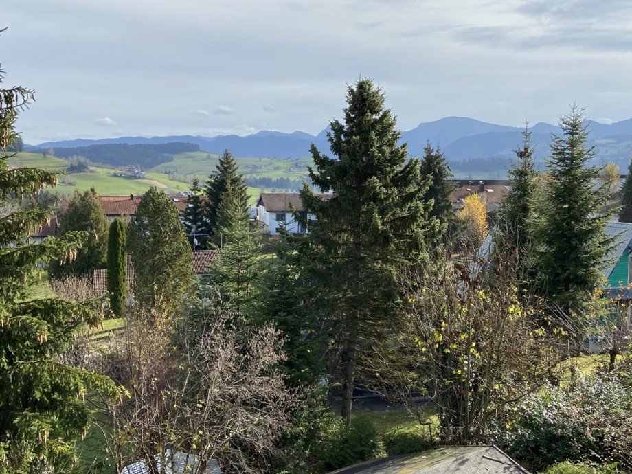 Ausblick Einfamilienhaus Oberreute