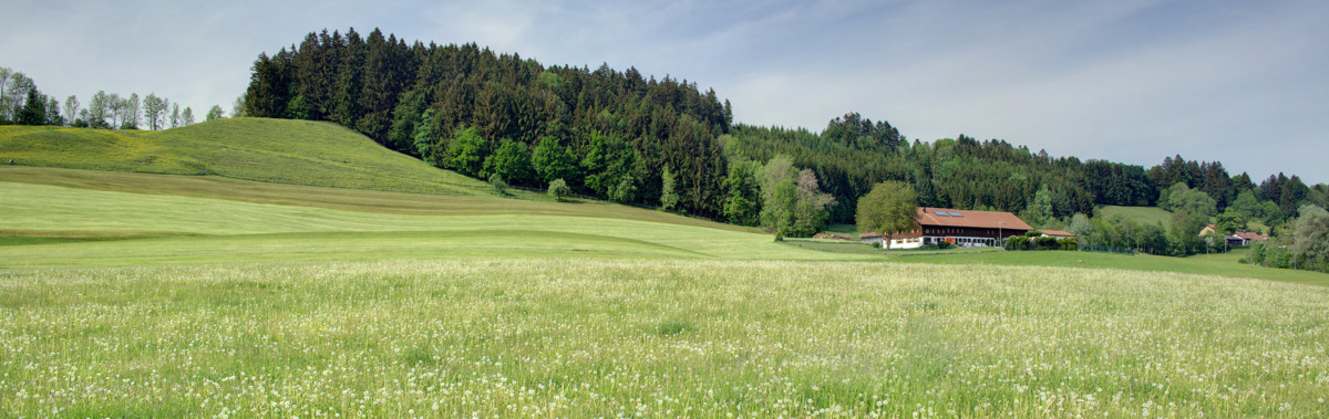  Bauernhaus Maierh�fen