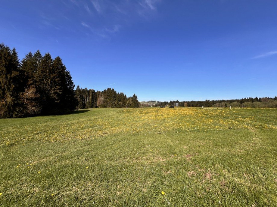  Land- / Forstwirtschaft - Grdst. Oberstaufen