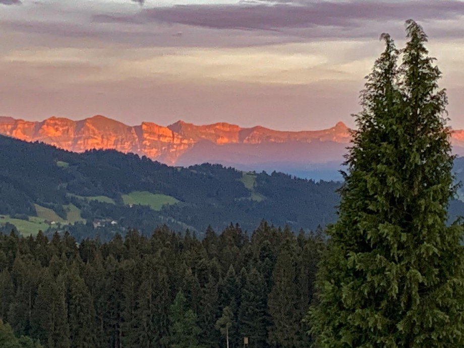  Einfamilienhaus Scheidegg / Lindenau