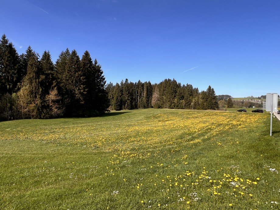  Land- / Forstwirtschaft - Grdst. Oberstaufen
