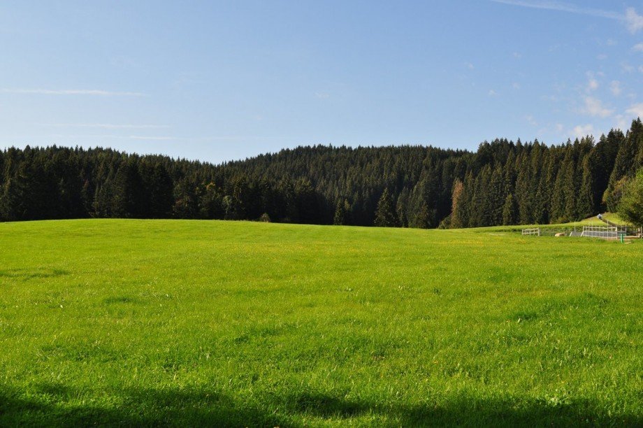  Bauernhaus Oberstaufen