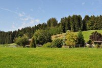 Bild (7730e9df65c95116a9e58bee0a6ce819): Anwesen f�r Individualisten mit traumhaften Alpenpanorama ***Pferdehaltung m�glich*** 11,5 ha Land