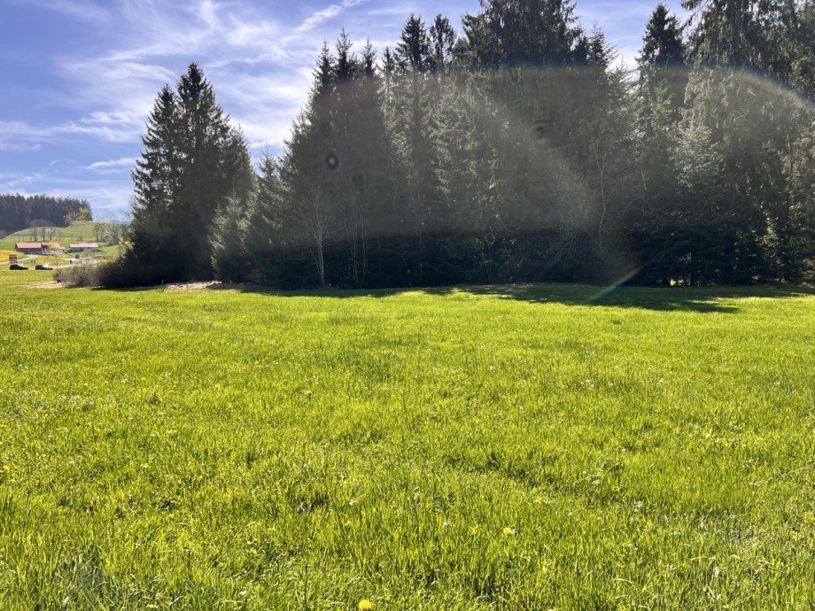  Land- / Forstwirtschaft - Grdst. Oberstaufen