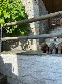 Freisitz Ein Haus in Top Lage 
in Immenstadt im Allg�u 
mit unverbaubarem Blick in die Berge!