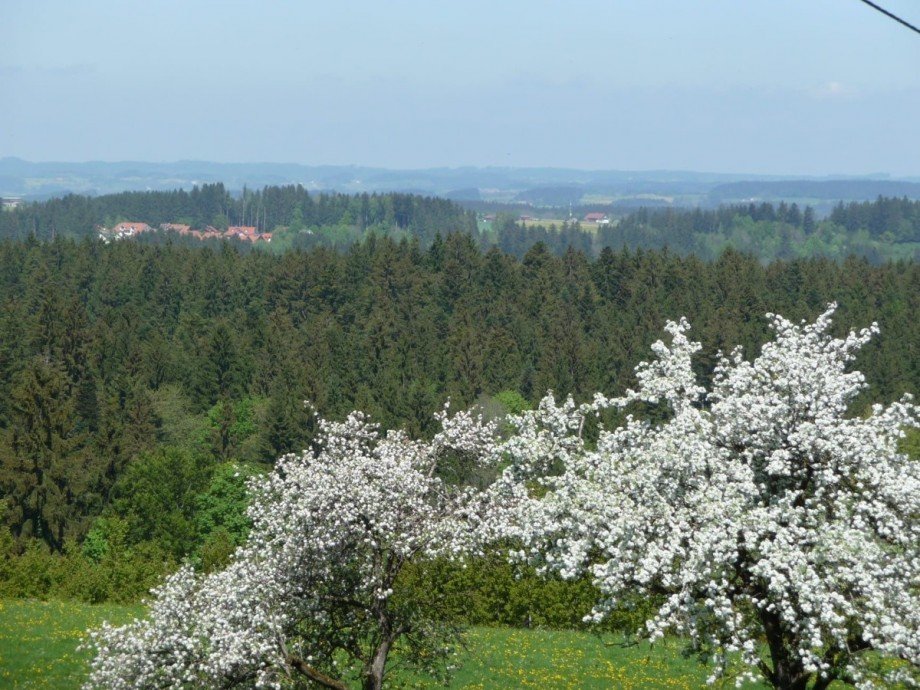  Einfamilienhaus Oberstaufen