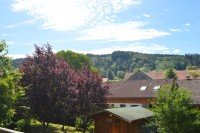 Bild (7f808d4aac65f6b1bdf4c927b0b8ce12): Massives Naturstamm-Holzhausaus kanadischer Red Cedar,in Gr�nenbach im Westallg�u.