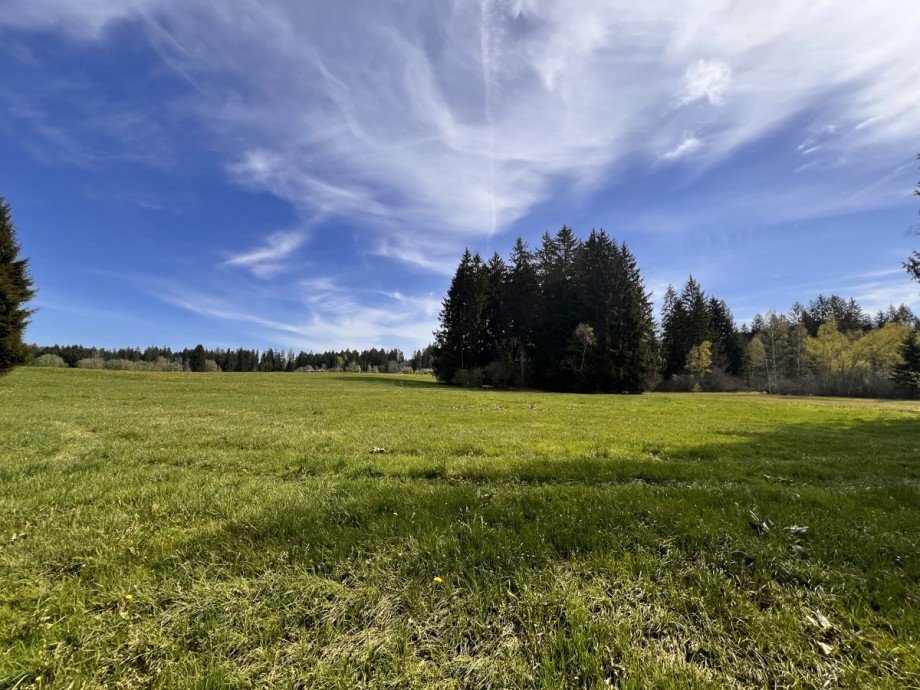  Land- / Forstwirtschaft - Grdst. Oberstaufen