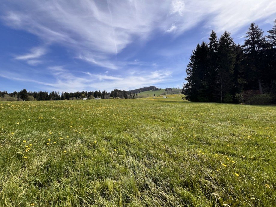  Land- / Forstwirtschaft - Grdst. Oberstaufen