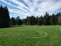 Bild (8c11e1b8081c8557d0041bbf3ed3829a): Landwirtschaftliche Grundst�cke Wiese & Wald (Ausgleichsfl�chen) 3 Hektar in Oberstaufen / Allg�u