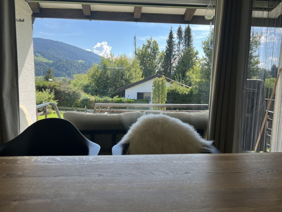 Sicht Ferienhaus Oberstaufen / Eibele