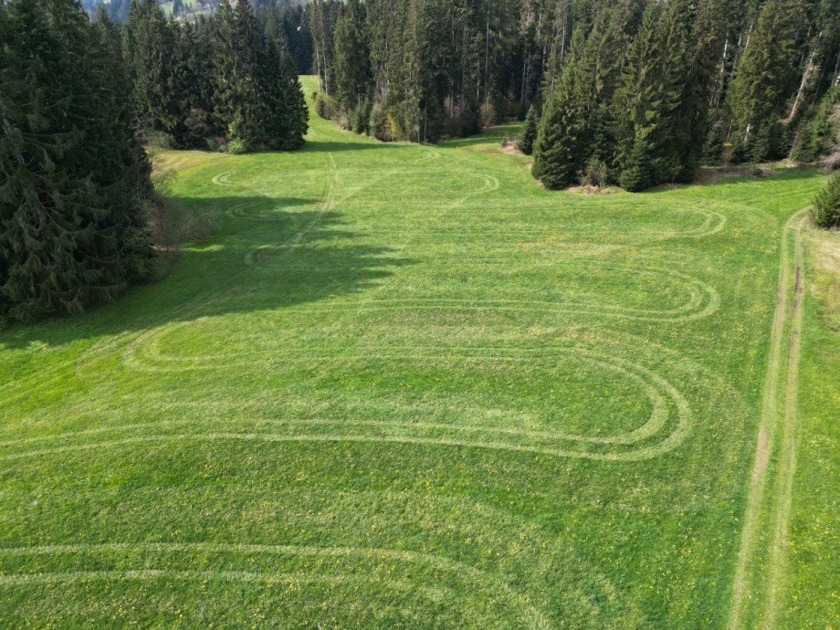  Land- / Forstwirtschaft - Grdst. Oberstaufen