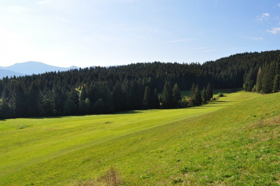  Bauernhaus Oberstaufen