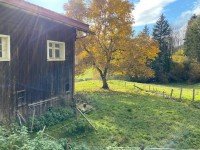 Bild (9b3d13a90184eb36debd46ea626d3965): R A R I T � T Allg�uer Bauernhaus in Alleinlage mit ca. 5 ha Land in Oberstaufen