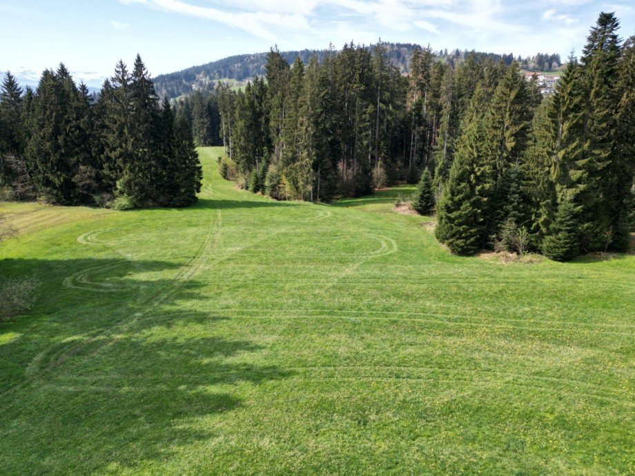  Land- / Forstwirtschaft - Grdst. Oberstaufen