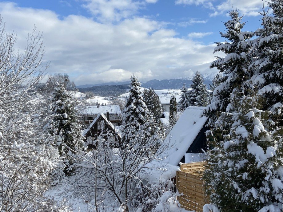 Aussicht Einfamilienhaus Oberreute