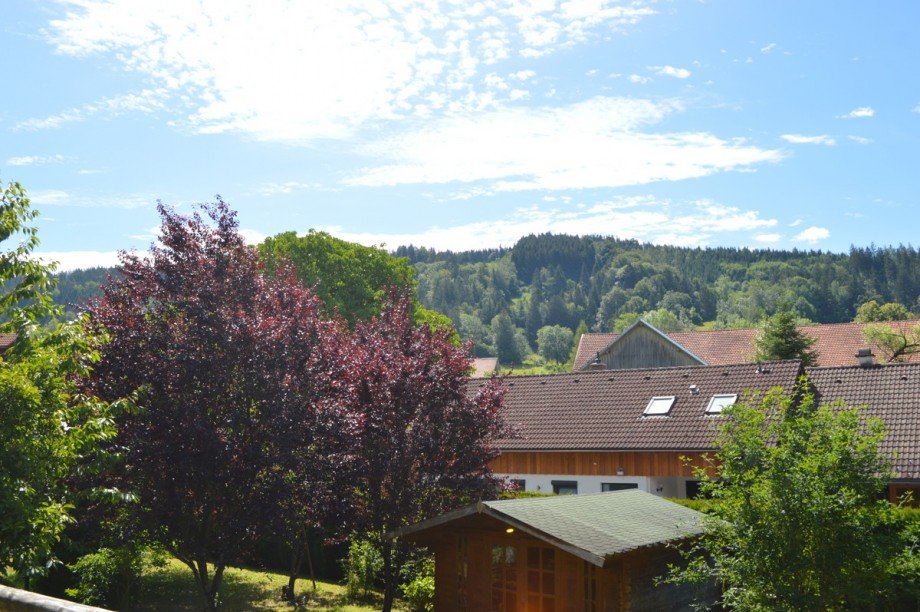  Einfamilienhaus Gr�nenbach