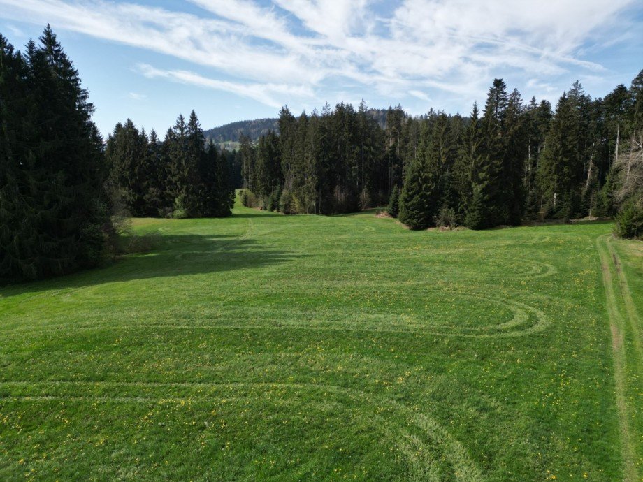  Land- / Forstwirtschaft - Grdst. Oberstaufen
