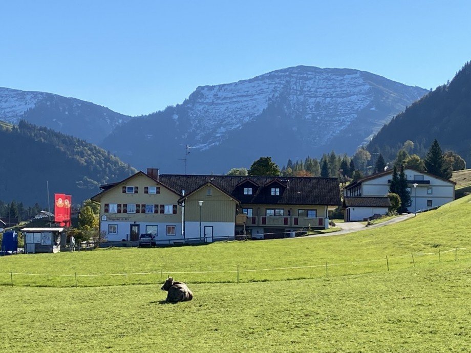 direkt am Skilift Etagenwohnung Oberstaufen - Steibis