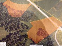 Bild (b36dd525efead632df277d0634bc161f): Landwirtschaftliche Grundst�cke Wiese & Wald (Ausgleichsfl�chen) 3 Hektar in Oberstaufen / Allg�u