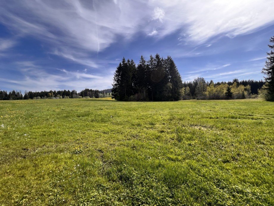  Land- / Forstwirtschaft - Grdst. Oberstaufen