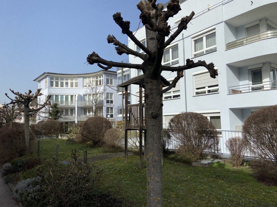 nein Erdgeschosswohnung Ludwigsburg