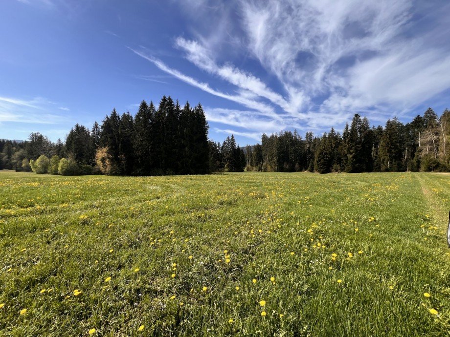  Land- / Forstwirtschaft - Grdst. Oberstaufen