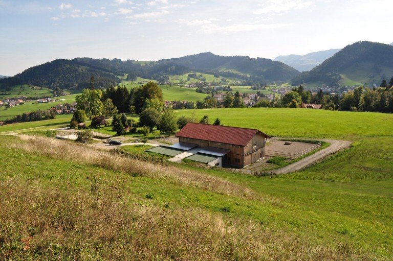  Oberstaufen - Oberstaufen Bauernhaus Anwesen f�r Individualisten mit traumhaften Alpenpanorama ***Pferdehaltung m�glich*** 11,5 ha Land