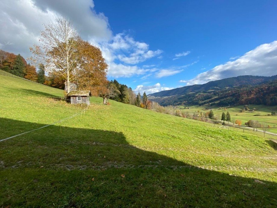 Bauernhaus Oberstaufen