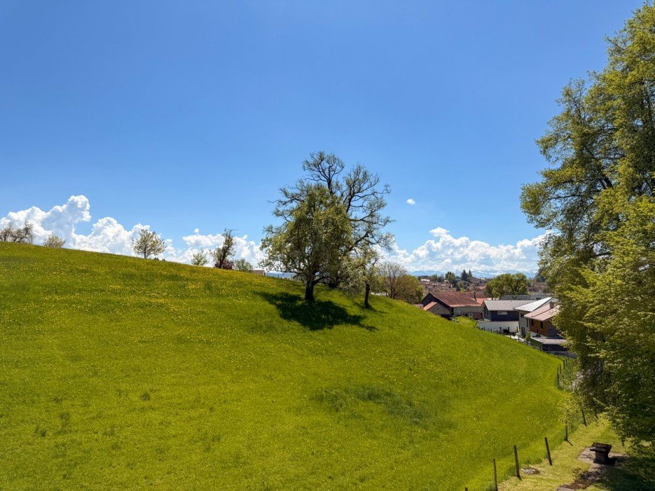 Ausblick Etagenwohnung Lindenberg im Allg�u