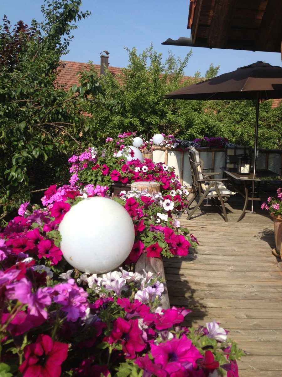  Einfamilienhaus Gr�nenbach