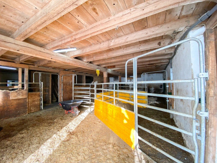 Stall Bauernhaus Stiefenhofen