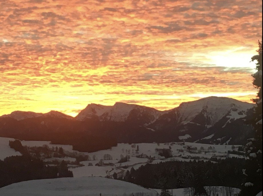 Ausblick - Panorama Penthousewohnung Oberreute