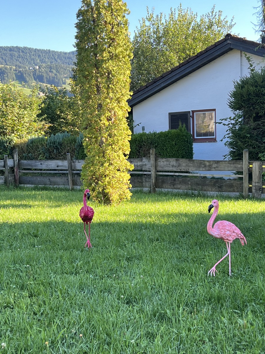 Garten Ferienhaus Oberstaufen / Eibele