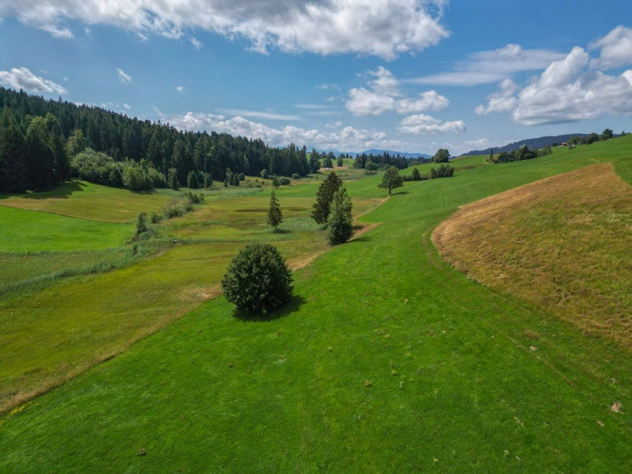 Blick Richtung �sterreich / Schweiz Bauernhaus Oberstaufen