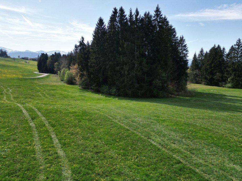 Land- / Forstwirtschaft - Grdst. Oberstaufen