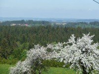 Bild (cc901a6052f47812dc6219aa521e4e3f): ***LANDHAUS MIT GROSSEM GARTEN*** IN TRAUMHAFTER LAGE MIT PANORAMABLICK IM WESTALLG�U