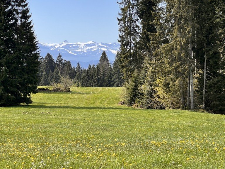  Oberstaufen Land- / Forstwirtschaft - Grdst. Landwirtschaftliche Grundst�cke Wiese & Wald (Ausgleichsfl�chen) 3 Hektar in Oberstaufen / Allg�u